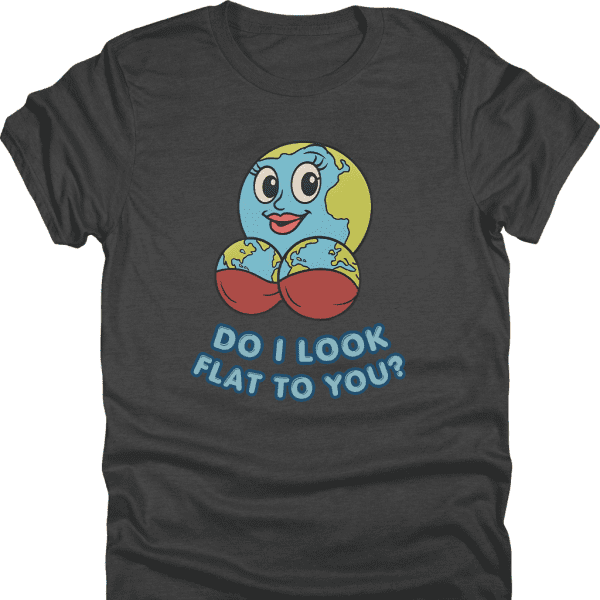 Do I Look Flat Shirt
